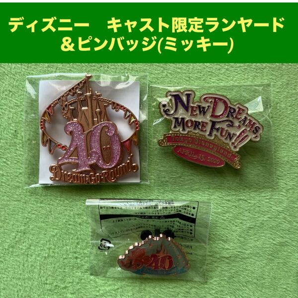 ディズニー キャスト限定 ランヤード&ピンバッジセット◆新品未使用◆非売品 レア