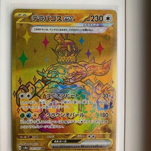 テラパゴスEX UR ポケモンカード テラスタルフェス