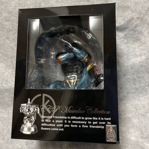 CCP ウォーズマン 限定カラー