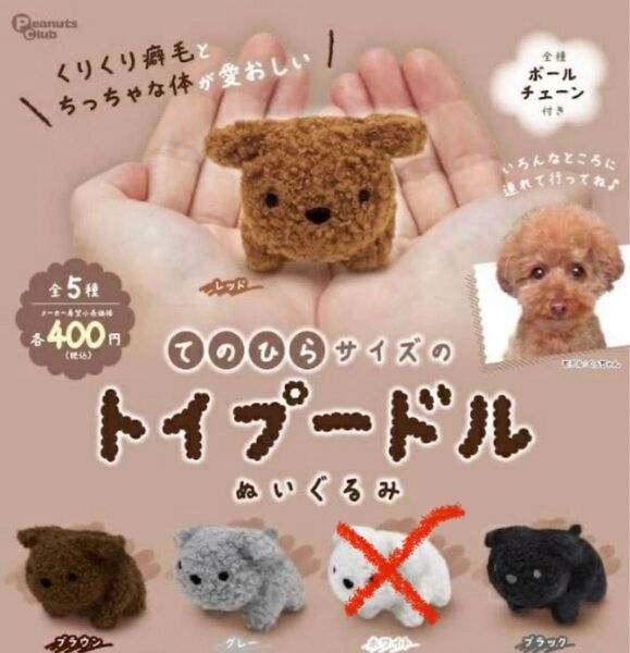 トイプードルぬいぐるみ ガチャガチャ