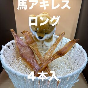 馬アキレスロング