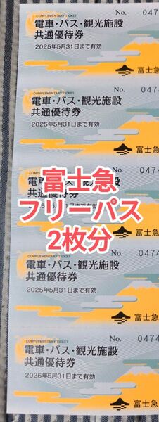 富士急ハイランド フリーパス 2枚