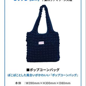 新品 未開封 埼玉西武ライオンズ ポップコーンバッグ