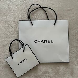 CHANEL 紙袋 大小セット