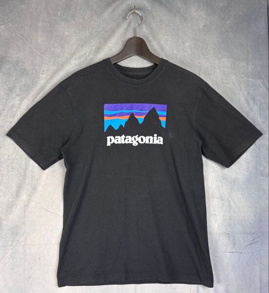 a76【パタゴニア】【メンズサイズ】【男女兼用】patagonia Tシャツ