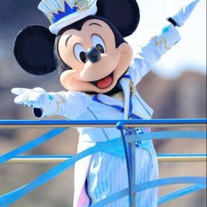 ディズニーチケット ペア2枚