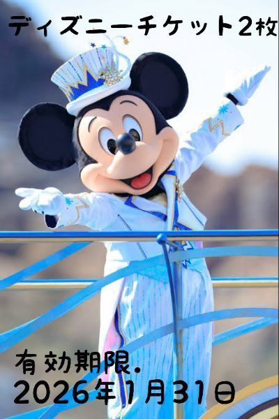 専用ディズニー