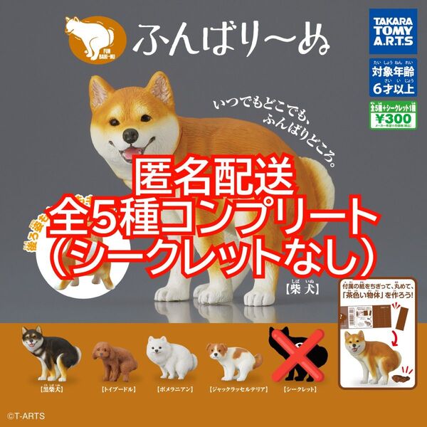 ②ふんばり~ぬ 全5種コンプリート シークレットなし ふんばりーぬ