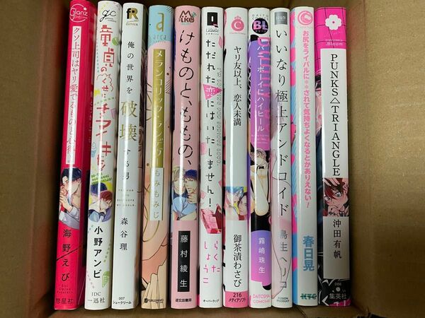 BL漫画 11冊まとめ売り