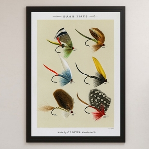 wool needle bus fishing fly fishing lure illustrated reference book Vintage illustration lustre poster A3 ③ interior Classic fish rod reel butterfly .