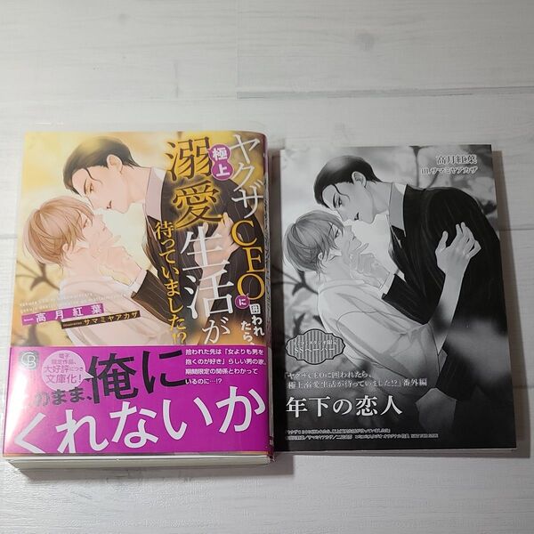 ヤクザCEOに囲われたら、極上溺愛生活が待っていました!? (CHARADE BUNKO こ9-3) 高月紅葉/著 ペーパー付
