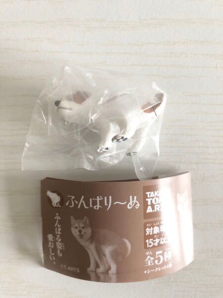 ふんばりーぬ ふんばり〜ぬ ジャックラッセルテリア