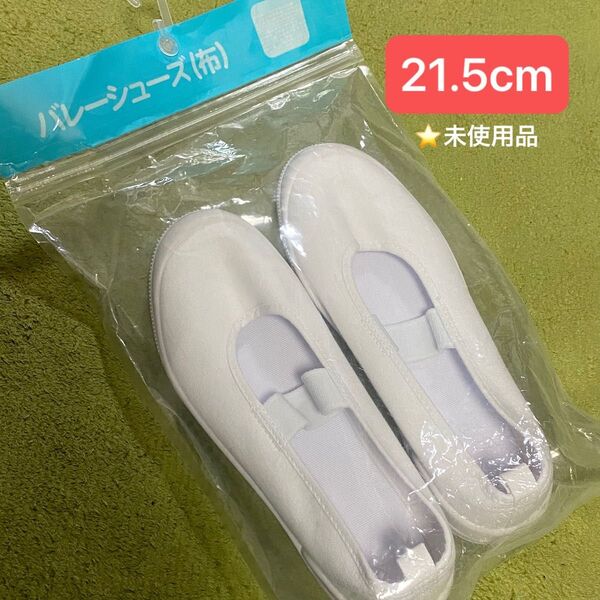 上履き/バレーシューズ/布/21.5cm/スクールシューズ/上靴