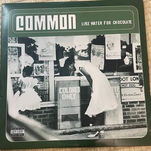 Commonばっかし!レコード9枚セット!