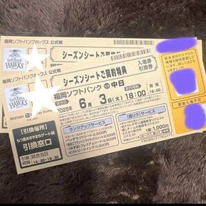 6月3日(火) 福岡ソフトバンクホークス vs中日ドラゴンズ 入場券引換券 2枚
