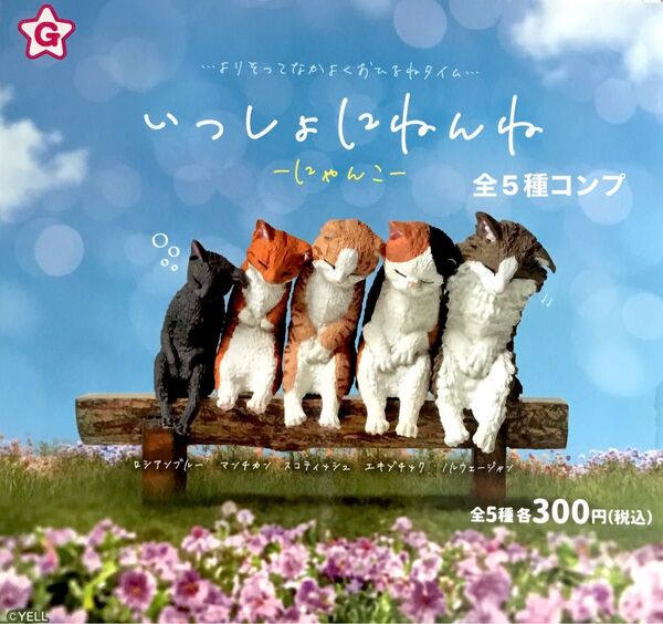 いっしょにねんね〜にゃんこ〜★全5種コンプリート