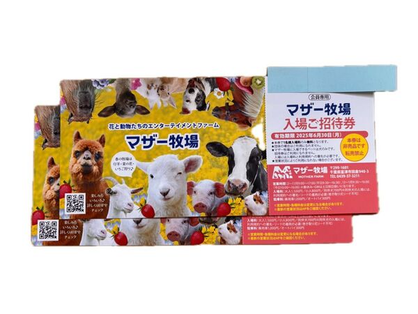 【2枚セット】マザー牧場 招待券③