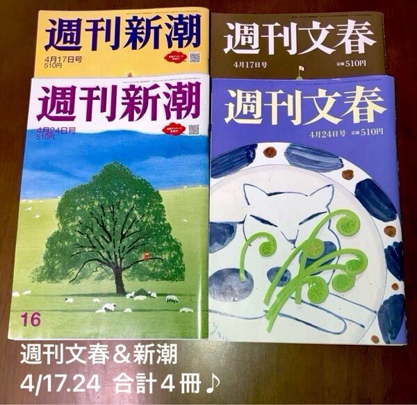 週刊新潮 &文春2025年4月17.24日号 合計4冊♪皇室、トランプ、白鵬、広末涼子他