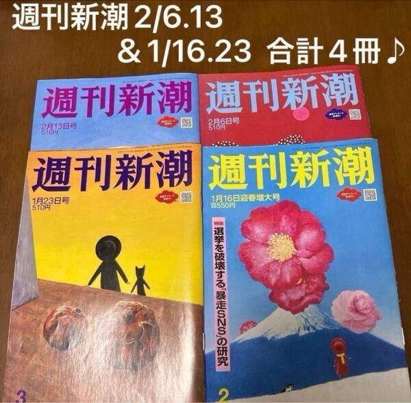 週刊新潮 2025年2月13.6日号 &1月16.23日号 合計4冊♪皇室、石破政権、フジテレビ、中居正広、クルド問題、翔猿 他