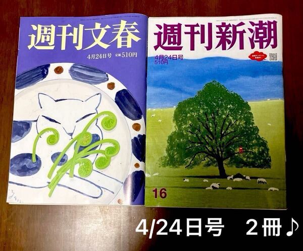 週刊文春 &週刊新潮 2025年4月24日号 2冊♪