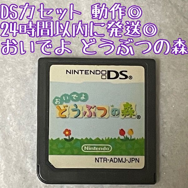 DSソフト おいでよ どうぶつの森 動作確認済 24時間以内発送 厳重梱包 Nintendo ゲーム