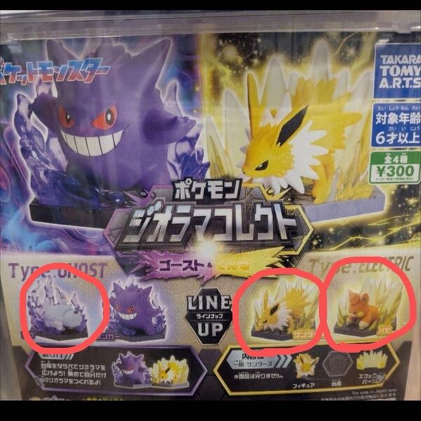 ポケモン ジオラマコレクト ガチャガチャ パモ サンダース ポチ