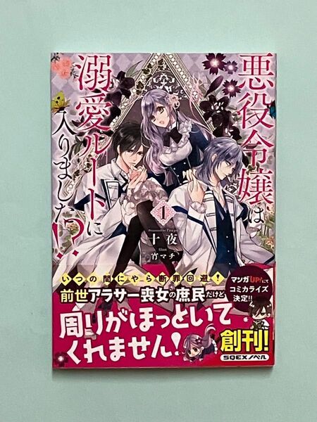 悪役令嬢は溺愛ルートに入りました!? 1 (SQEXノベル) 十夜/著 小説