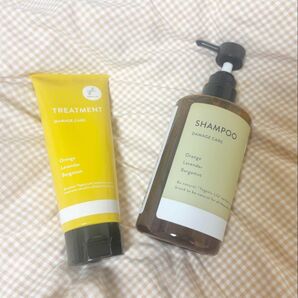 LAVA Yoganic Lifeシャンプー・トリートメントセット