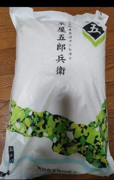 こしひかり 新潟県 魚沼産 5kg×2 棚田米