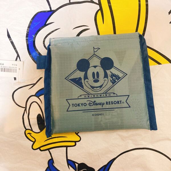 Disneyミッキー エコバッグ ディズニー ディズニーランド