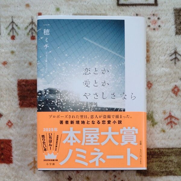 恋とか愛とかやさしさなら 一穂ミチ
