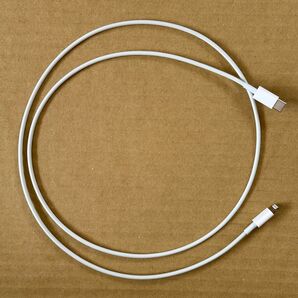Apple USB-C to Lightning Cable (1m) アップル純正品 充電ケーブル 1m