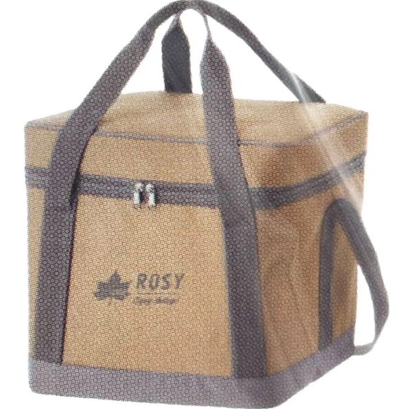 ラスト1個 logos ROSY 氷点下パック抗菌ソフトクーラー 5L