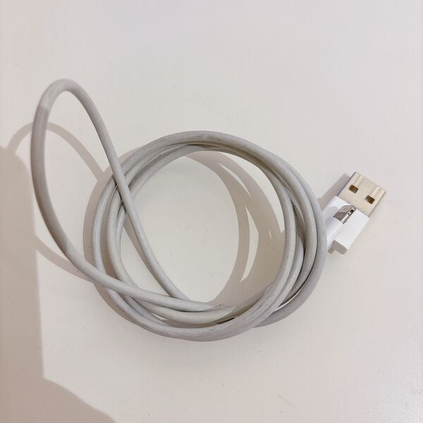 【純正品】Apple iPhone ライトニングケーブル lightning