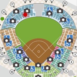 ★甲子園★ 阪神vs中日戦 7月15日(火) レフトスタンド2枚セット ウル虎の夏2025 限定ジャージプレゼント