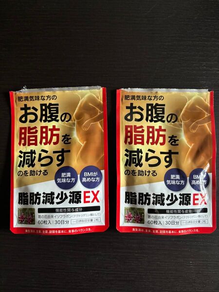 ダイエット 脂肪減少源EX 60粒×2袋セット