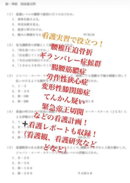 看護実習で役立つ!看護計画資料!事前学習、レポートも収録!