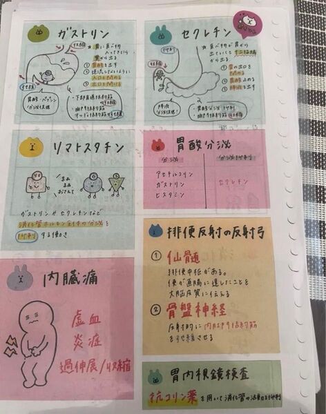 看護師国家試験対策!!800枚以上の付箋プラス国試対策用問題のおまけ付き!