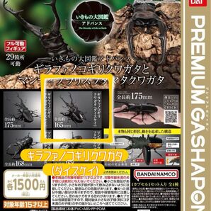 新品 いきもの大図鑑 アドバンス ギラファノコギリクワガタ ダイスケイ カプセル版