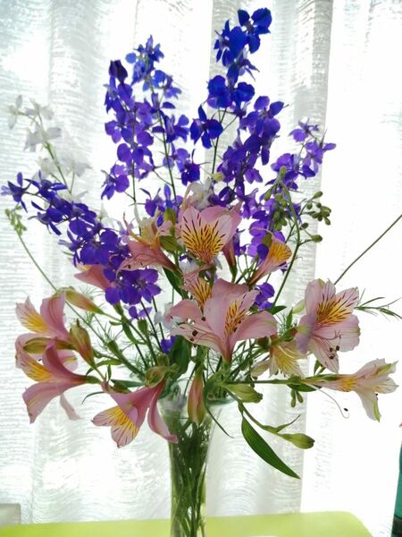 アリストロメリア 花の球根
