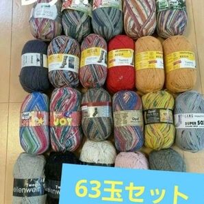 貴重 レア 廃盤品 63玉セット レア オパール opal REGIA など ソックヤーン