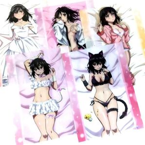 ストライク・ザ・ブラッド くじ引き堂 ラブリーキャット オンラインくじ A3クリアポスター 姫柊雪菜 5枚セット
