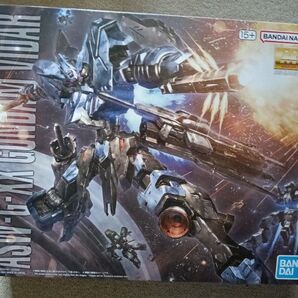MG 1/100 ガンダムヴィダール