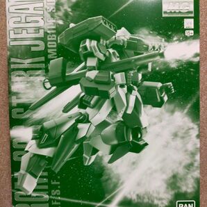 MG 1/100 スタークジェガン