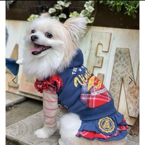お値下げ 犬服 as know as de wan パーカー&スカート サイズ3