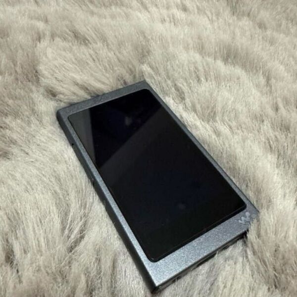 SONY ウォークマン NW-A45 16G ケース、充電器付き