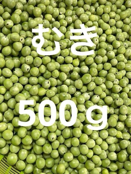 うすいえんどう豆 和歌山県産 むき身 500g