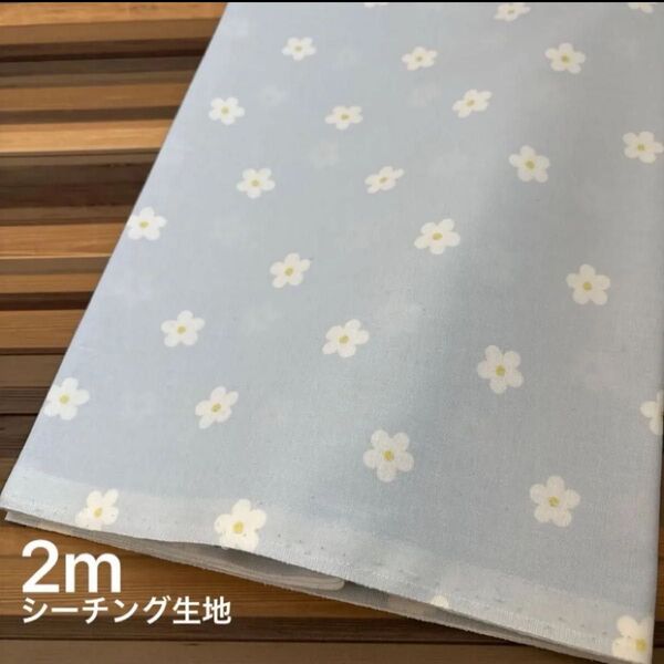 シーチング生地 花柄 ラメ ライトブルー 108cm×200cm