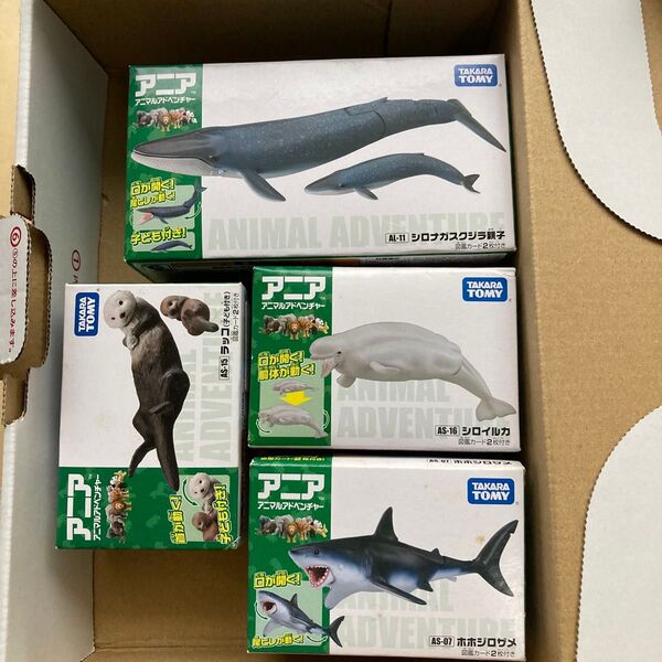 アニア シロナガスクジラ シロイルカ ホホジロザメ ラッコ