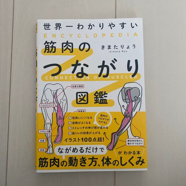 世界一わかりやすい筋肉のつながり図鑑 きまたりょう/著